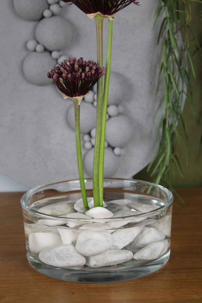 Glasschale, Blume, Wasser, Steine